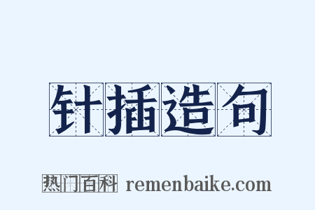 针插造句是什么意思的图片